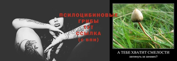 гидра Россошь