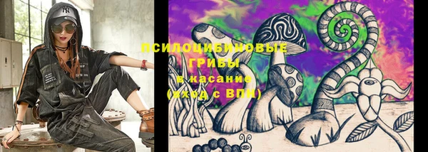 гидра Россошь
